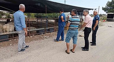 Kurban satış yerlerinde denetim
