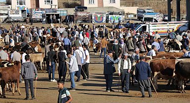 Kurbanlık alacaklar dikkat: "Hayvanlarda fiziki kusur olmaması gerek"