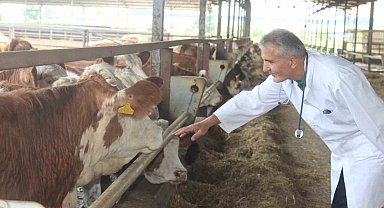 Kurbanlık alacaklar dikkat