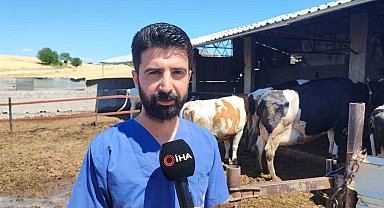 Kurbanlık alacaklara tüberküloz uyarısı