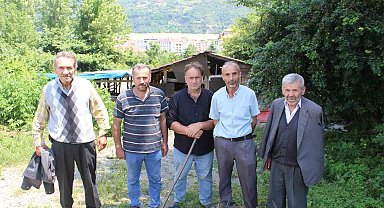 Kurtlar, 350'den fazla koyunu telef etti