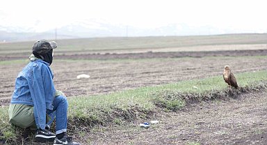 Kuş gözlemcisi ile kızıl şahinin dostluğu