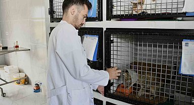 Kuşadası'nda sahipsiz can dostların ihtiyaçları ücretsiz karşılanıyor