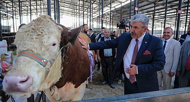 Kütahya'da Canlı Hayvan Pazarı açıldı