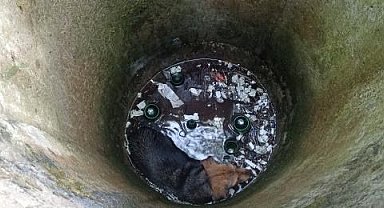 Kuyuya düşen köpek böyle kurtarıldı