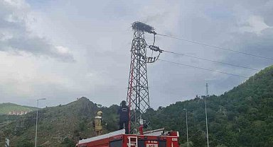 Leylek yuvasına yıldırım düştü