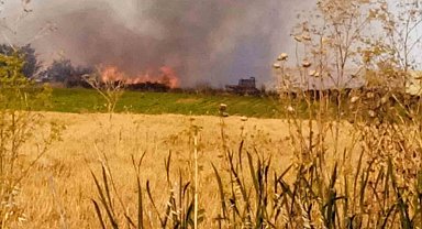 Lüleburgaz'da tarla yangını