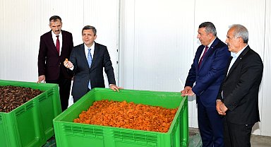 Malatya kayısısında 2023 yılı tahmini rekoltesi 77 bin 170 ton olarak açıklandı