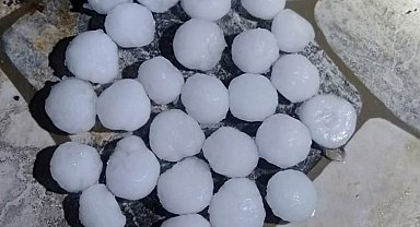 Malatya'da dolu yağışı kayısı bahçelerine zarar verdi