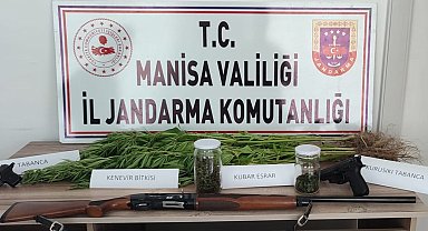 Manisa'da 45 kök kenevir ve 30 gram esrar ele geçirildi