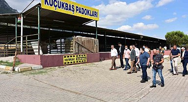 Manisa'da kurban satış ve kesim yerleri belirlendi