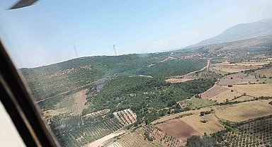 Manisa'da orman yangını