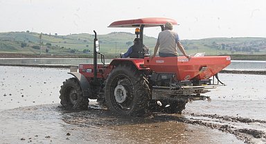 Manyas'ta çeltik ekimleri başladı