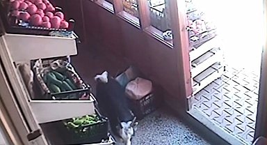 Market alışverişinde sahibine eşlik eden yavru keçi gülümsetti