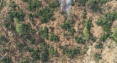 Marmaris'te orman yangını