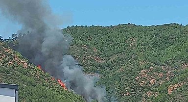 Marmaris'te orman yangını