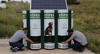 Meram'da sokak hayvanlarının mama kapları artık otomatik dolacak