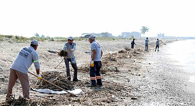 Mersin'de caretta carettaların üreme alanı sahiller temizleniyor