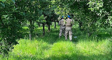 Meyve hırsızlıklarına jandarmadan önlem