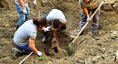 Mezarı açıldı, 16 yıl önce ölen fil Pak Bahadır'ın kemikleri titizlikle çıkarılıyor