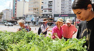 Mezitli Belediyesinden vatandaşlara sebze fidesi
