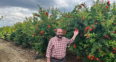 MHP İl Başkanı Yılmaz; "İklim değişikliğiyle mücadele hepimizin ana gündemi olmuştur"