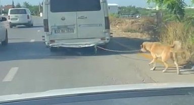 Minibüsün arkasına bağladığı köpeği zorla götürdü