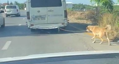 Minibüsün arkasına bağlanan köpeği zorla götüren sürücüye adli işlem