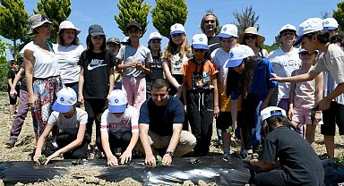 Minik eller yaz fidelerini Adabahçe'nin bereketli topraklarıyla buluşturdu