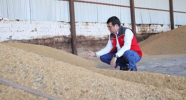 Muğla Tarım ve Orman Müdürü Saylak; "Kimsenin ürünü tarlada kalmayacak"