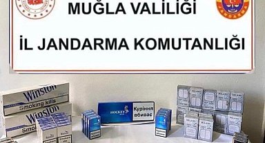 Muğla'da kaçak sigara operasyonu
