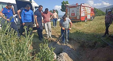 Muş'ta kapağı çalınan menhole düşen inek 2 saatlik çalışma sonucu kurtarıldı