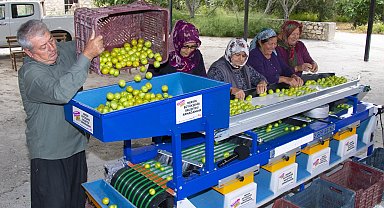 Mut'taki erik üreticisine boylama makinesi desteği
