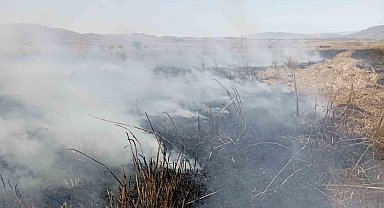 Nallıhan'da ekili arazilerde meydana gelen yangınlara müdahale ediliyor