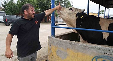 Nilüfer'de kurban kesim alanları belirlendi