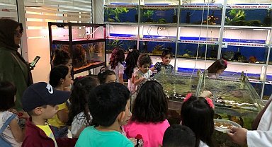 Öğrenciler balık müzesini gezdi