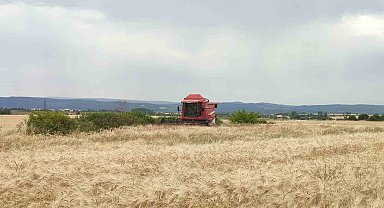 Öğrencilerin yetiştirdiği ilk arpa, salonda satıldı