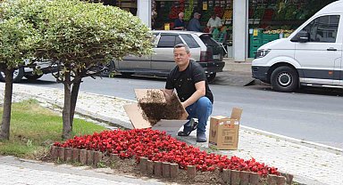 Oğul arılar tedirgin etti