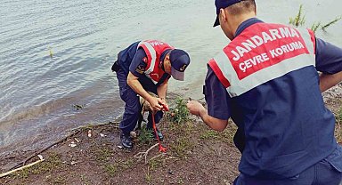 Olta yutmuş leylek doğaya salındı
