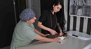 Ölümcül kuduz hastalığıyla ilgili veteriner hekimden aşı çağrısı