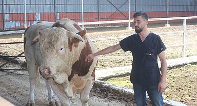 Onu gören şaşırıyor: İkinci el otomobil fiyatına alıcısını bekliyor