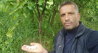 Ordu'da fındık bahçelerini ceviz büyüklüğünde dolu vurdu