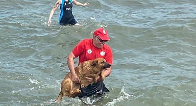Ordu'daki triatlon yarışlarında ilginç olay