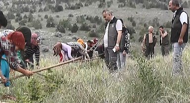 Orman alanlarında düzenli bakım yaparak toprağı arındırıyorlar