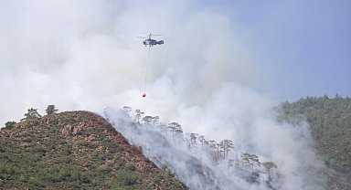 Orman yangınında gözaltına alınan şahıs serbest bırakıldı