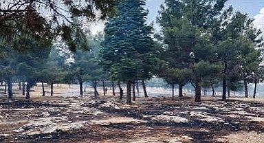 Ormanlık alanda çıkan yangın korkuttu