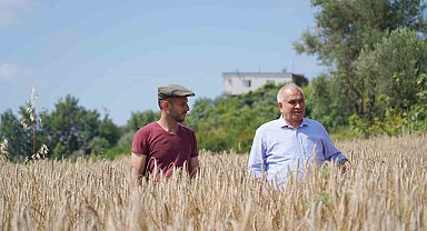 Örnek projeyle atıl araziler üretime kazandırıldı, ilk hasat yapıldı