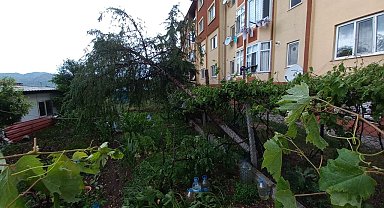 Osmancık'ı fırtına ve sağanak vurdu: Çatılar uçtu, ağaçlar söküldü, caddeler göle döndü