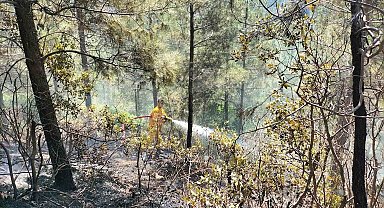 Osmaniye'de orman yangını, ekipler havadan ve karadan müdahale etti