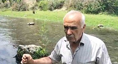 Osmaniye'deki Sabun Çayı'nda balık ölümleri